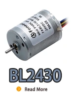 BL2430I, BL2430, B2430m, 24 mm de rotor pequeño interno Motor eléctrico de CC sin escobillas.webp