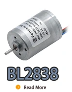 BL2838I, BL2838, B2838M, 28 mm pequeño rotor interno Motor eléctrico de CC sin escobillas.webp